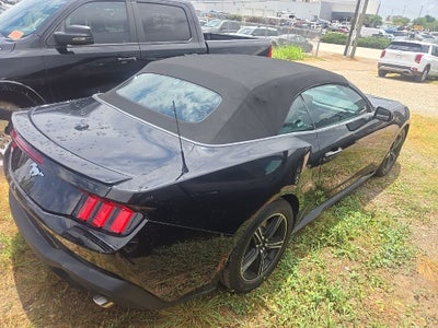 2025 Ford Mustang EcoBoost Premium