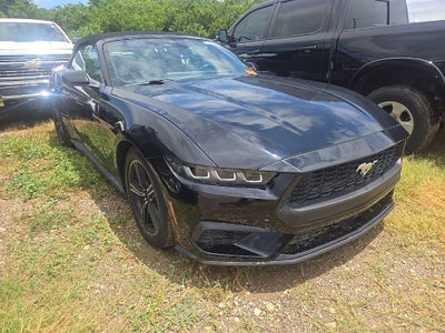 2025 Ford Mustang EcoBoost Premium